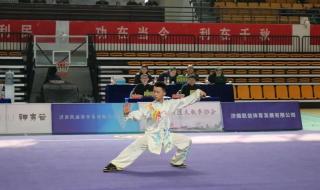 中国武术职业联赛